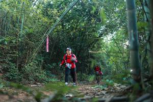 BIB: 
                            <button type="button" onclick="openModal(28025731)" class="btn btn-primary btn-sm float-right btn-popup" data-toggle="modal" data-target=".modal-high-quality">
                        <i class="fas fa-shopping-cart"></i> Add to Cart
                    </button>
                                            <button type="button" onclick="isThisMe(28025731, true)" class="btn btn-success btn-sm float-right btn-popup btn-isme hidden" data-toggle="tooltip" data-placement="bottom" title="นี่คือรูปของคุณใช่ไหม คลิกที่นี่เพื่อเอาเข้าอัลบั้ม">
                        <i class="fas fa-plus"></i> Add to album
                    </button>
                    <button type="button" onclick="isThisMe(28025731, false)" class="btn btn-warning btn-sm float-right btn-popup btn-isnotme hidden">
                        <i class="fas fa-ban"></i> Remove from album
                    </button>